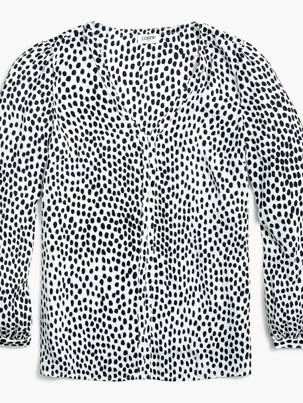 J.Crew Leopard long-sleeve V-neck top with trim detail Sz 2